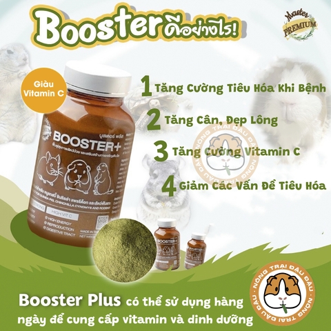 Bột Cỏ Bổ Sung Vitamin Booster Plus Cho Bọ Ú, Thỏ, Chinchilla, Rùa Cạn, Thú Gặm Nhấm