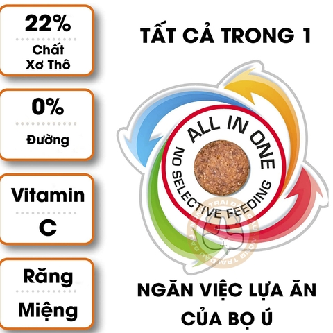 Thức Ăn Cho Bọ Ú Beaphar Bổ Sung Vitamin C, Chất Xơ, Chăm Sóc Răng Miệng