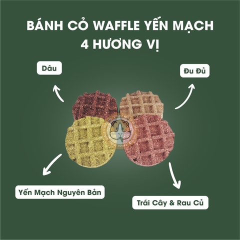 Bánh Cỏ Yến Mạch Waffle Vị Trái Cây Cho Thỏ, Bọ Ú, Chinchilla Ăn Vặt Mài Răng
