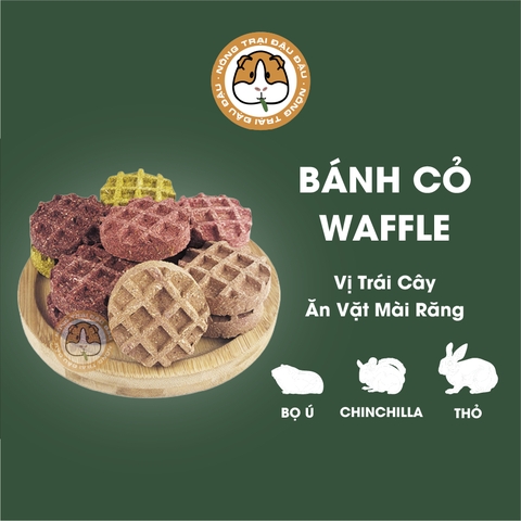 Bánh Cỏ Yến Mạch Waffle Vị Trái Cây Cho Thỏ, Bọ Ú, Chinchilla Ăn Vặt Mài Răng