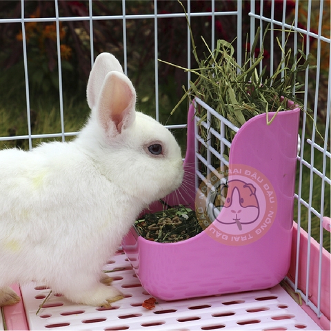 Máng Ăn Cho Thỏ, Bọ Ú, Chinchilla Máng Ăn 2 Trong 1 Tiện Lợi