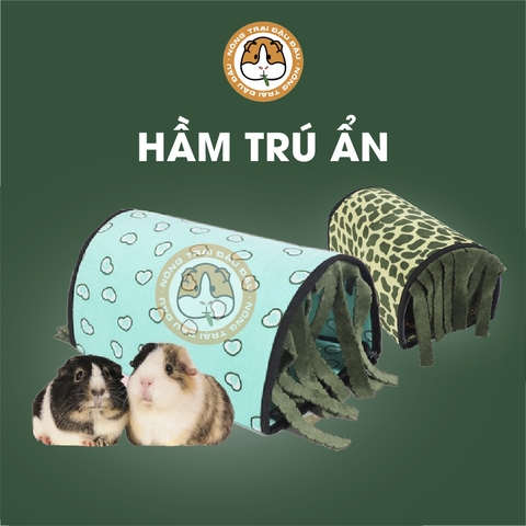 Hầm Trú Ẩn Cho Bọ Ú Chuột Lang Có Rèm Che