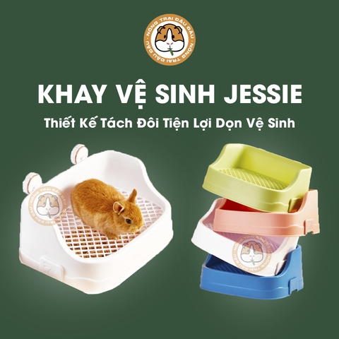 Khay Vệ Sinh Cho Thỏ, Bọ Ú, Chinchilla Cao Cấp Tiện Lợi Hiệu Jessie