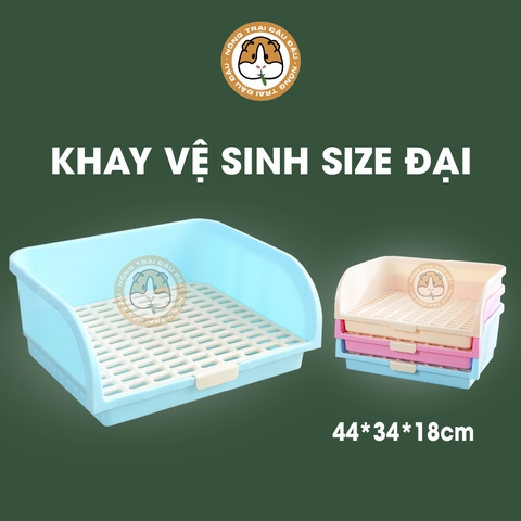 Khay Vệ Sinh Cho Thỏ, Bọ Ú, Chinchilla Size Đại