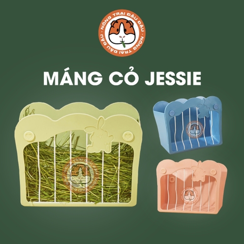 Máng Cỏ Cho Thỏ, Bọ Ú, Chinchilla Jessie Cao Cấp Tiện Lợi