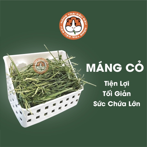 Máng Cỏ Khô Cho Bọ Ú, Thỏ, Chinchilla Khay Cỏ Tiện Lợi, Sức Chứa Lớn