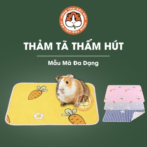 Thảm Tã Thấm Hút Cho Thỏ, Bọ Ú (Chuột Lang) Pee Pads
