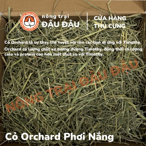 Cỏ Orchard Cho Thỏ, Bọ Ú, Chinchilla Giàu Chất Xơ Cành Mềm Mỏng 500g