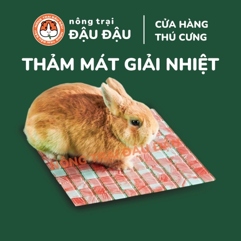 Thảm Nằm Tản Nhiệt Cho Thỏ, Bọ Ú, Chinchilla Thảm Đá Mát