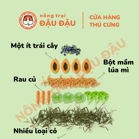 Cỏ Nén Yee Cho Bọ Ú Chuột Lang Hạt Phồng Giàu Chất Xơ 1kg