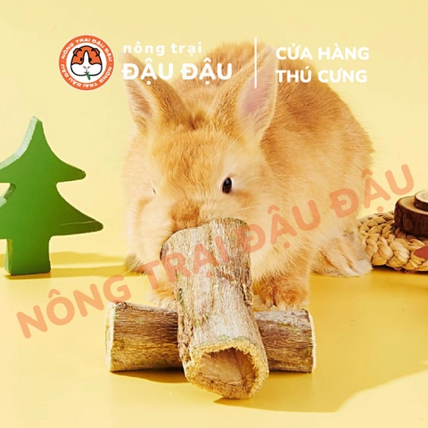 Cây Đu Đủ Sấy Khô Cho Thỏ, Bọ Ú, Chinchilla, Hamster Mài Răng