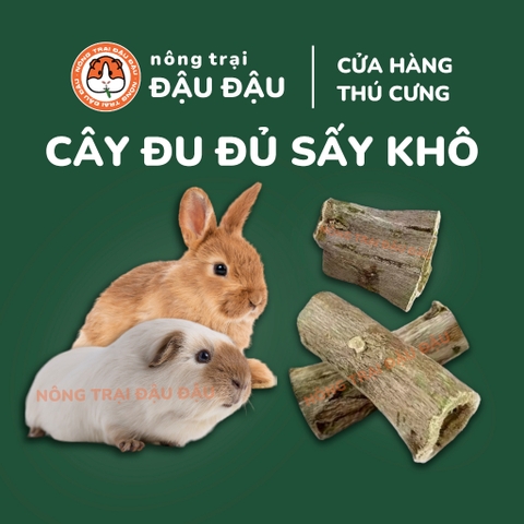 Cây Đu Đủ Sấy Khô Cho Thỏ, Bọ Ú, Chinchilla, Hamster Mài Răng