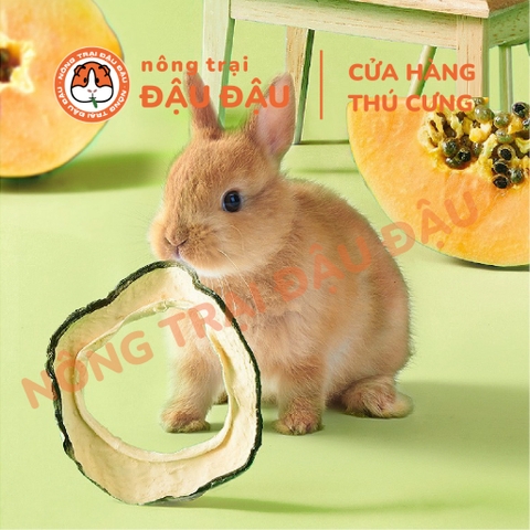 Đu Đủ Sấy Khô Ăn Vặt Cho Thỏ, Bọ Ú, Chinchilla Ăn Vặt Thơm Ngon 50g