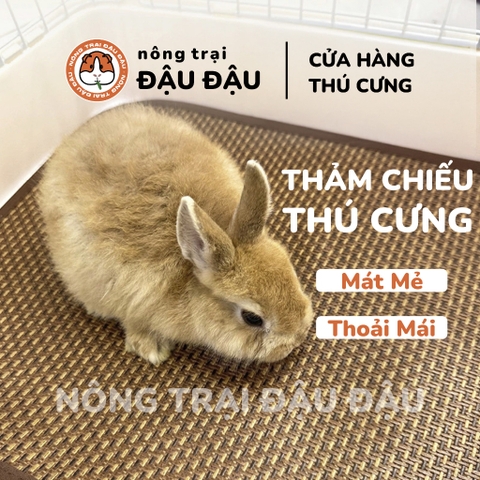 Thảm Cho Thỏ, Bọ Ú, Chó, Mèo, Thú Nhỏ Thảm Chiều Mát Phù Hợp Mọi Mùa