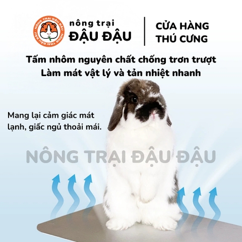 Thảm Mát Cho Thỏ, Bọ Ú, Hamster, Mèo, Thú Cưng Thảm Nhôm Làm Mát Cho Thú Cưng