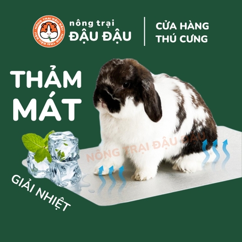 Thảm Mát Cho Thỏ, Bọ Ú, Hamster, Mèo, Thú Cưng Thảm Nhôm Làm Mát Cho Thú Cưng