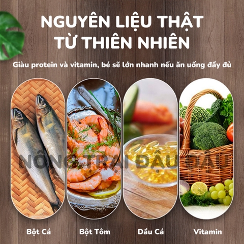 Thức Ăn Cho Rùa Yee Cám Dinh Dưỡng Cho Rùa Giàu Protein Và Vitamin Túi 50g