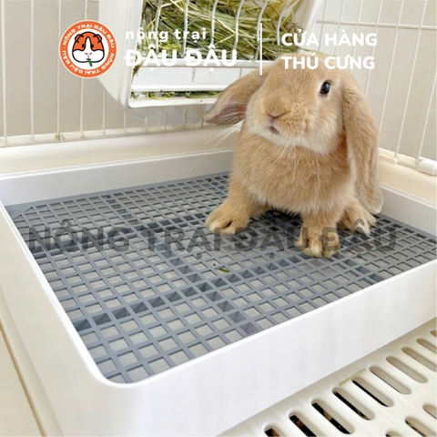 Khay Vệ Sinh Cho Bọ Ú, Chuột Lang, Thỏ Tiện Lợi Kích Thước Lớn