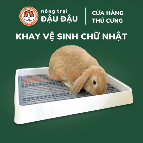 Khay Vệ Sinh Cho Bọ Ú, Chuột Lang, Thỏ Tiện Lợi Kích Thước Lớn