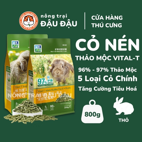 Cỏ Nén MrHay Thảo Mộc