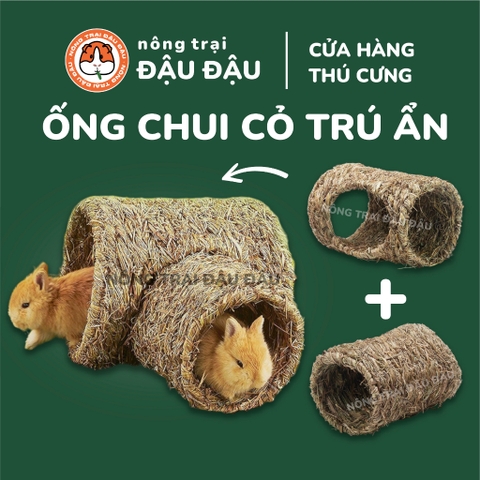 Ống Chui Cỏ Trú Ẩn Cho Bọ Ú, Chuột Lang, Thỏ Đồ Chơi Trú Ẩn