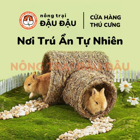 Ống Chui Cỏ Trú Ẩn Cho Bọ Ú, Chuột Lang, Thỏ Đồ Chơi Trú Ẩn