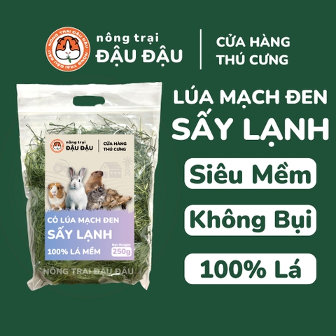 Cỏ Lúa Mạch Đen Cho Thỏ, Bọ Ú, Chinchilla Ăn Vặt Thơm Ngon 250g