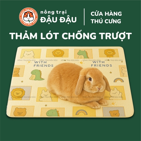 Thảm Lót Chống Trượt Cho Thỏ, Bọ Ú, Chó, Mèo, Thú Cưng Mềm Mại Thoải Mái