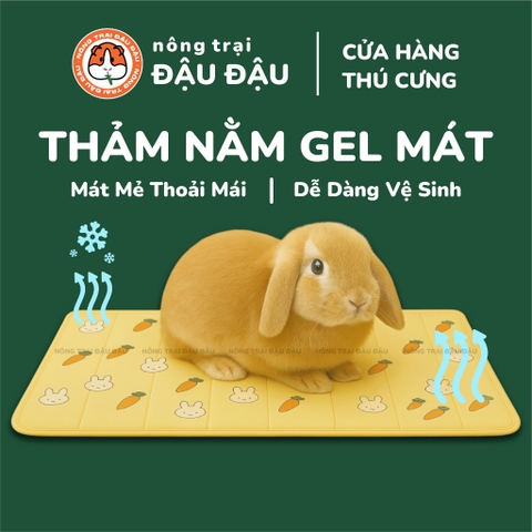 Thảm Mát Cho Thỏ, Bọ Ú, Chó, Mèo, Thú Cưng Mát Mẻ Thoải Mái
