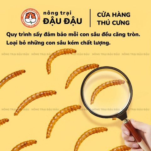 Sâu Sấy Yee - Hộp 110g