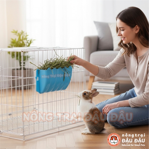 Máng Cỏ Cho Thỏ, Bọ Ú, Chinchilla Tiết Kiệm Diện Tích