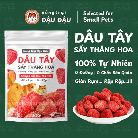 Dâu Sấy Thăng Hoa Cho Thỏ, Bọ Ú, Hamster Ăn Vặt Giàu Vitamin 20g