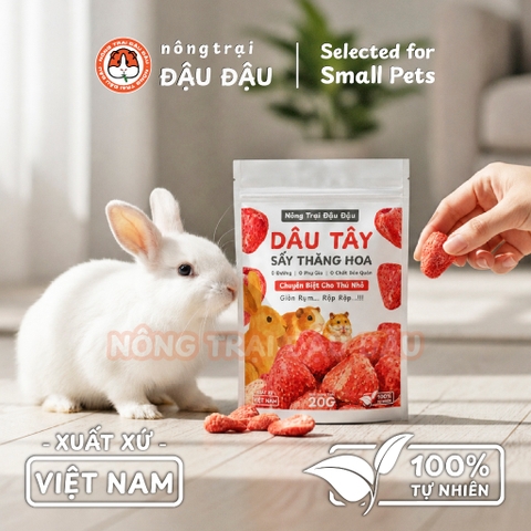 Dâu Sấy Thăng Hoa Cho Thỏ, Bọ Ú, Hamster Ăn Vặt Giàu Vitamin 20g
