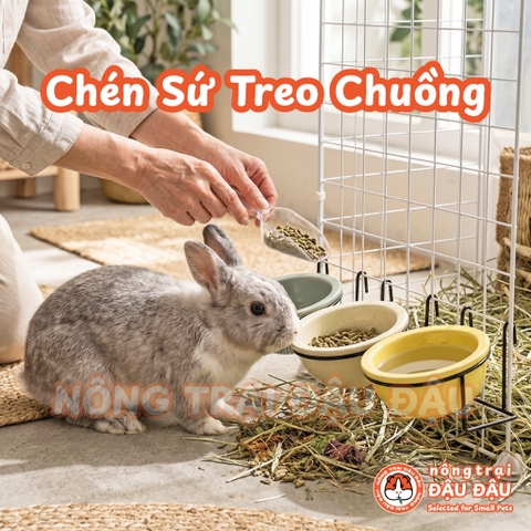 Chén Ăn Treo Chuồng Cho Thỏ, Bọ Ú, Chinchilla, Chó, Mèo Gốm Sứ Cao Cấp