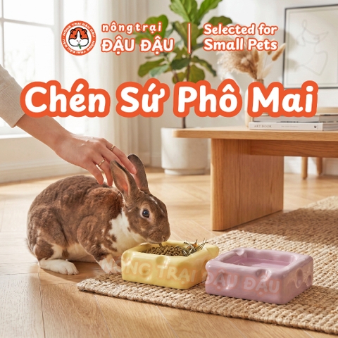 Chén Ăn Cho Thỏ, Bọ Ú, Chinchilla, Mèo, Chó Chất Liệu Gốm Sứ Hình Phô Mai Dễ Thương