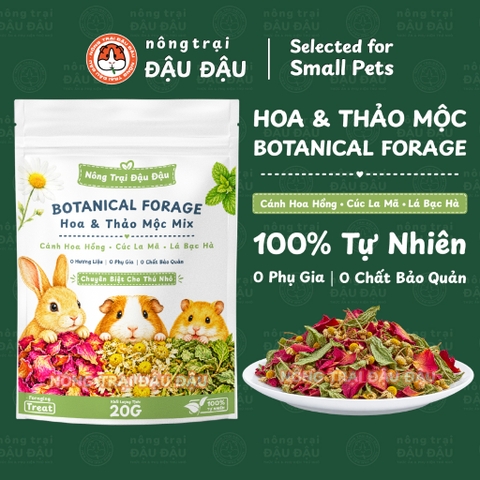 Botanical Forage - Cánh Hoa Hồng, Cúc La Mã, Lá Bạc Hà 20g