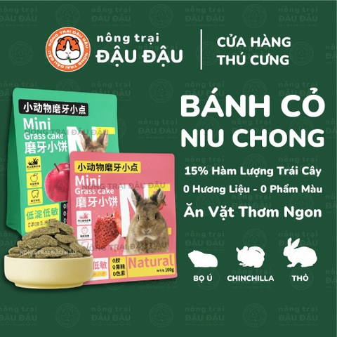 Bánh Cỏ Timothy Cho Thỏ, Bọ Ú, Chinchilla Ăn Vặt Vị Trái Cây 100g