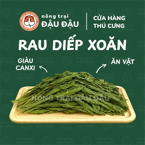 Rau Diếp Xoăn Cho Thỏ, Bọ Ú, Chinchilla Ăn Vặt Giàu Dinh Dưỡng