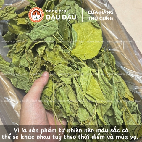 Lá Đậu Nành Sấy Khô Cho Thỏ, Bọ Ú, Chinchilla Ăn Vặt Giàu Canxi 50g