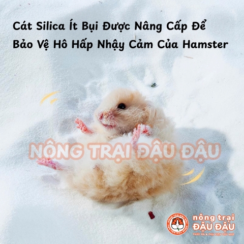 Cát Tắm Cho Hamster Yee Khử Mùi 1kg
