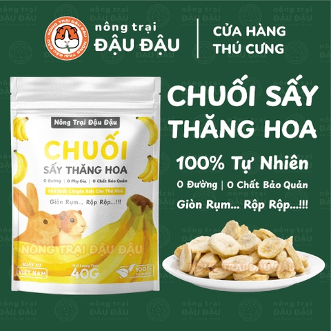 Chuối Sấy Thăng Hoa Cho Thỏ, Bọ Ú, Hamster,Chinchilla Ăn Vặt Cho Thỏ, Bọ Ú, Hamster, Chinchilla Thơm Ngon 40g