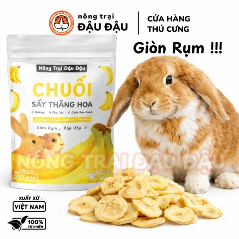 Chuối Sấy Thăng Hoa Cho Thỏ, Bọ Ú, Hamster,Chinchilla Ăn Vặt Cho Thỏ, Bọ Ú, Hamster, Chinchilla Thơm Ngon 40g