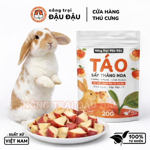 Táo Sấy Cho Thỏ, Bọ Ú, Chinchilla, Hamster Táo Sấy Thăng Hoa Giàu Dinh Dưỡng 20g