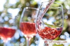 Hướng Dẫn Thưởng Thức Rượu Vang Hồng (Rosé) Mùa Hè