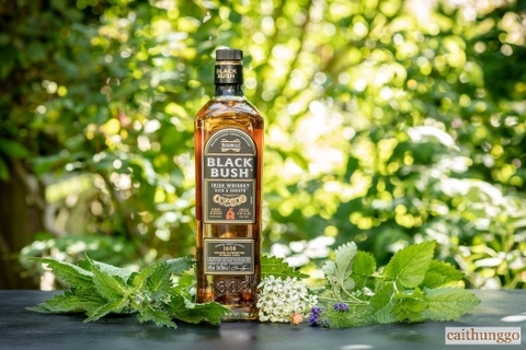 Trải Nghiệm Foraging Cùng Bushmills Whiskey