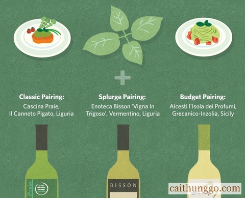 Chọn Rượu Vang Nào Cho Sốt Pesto?