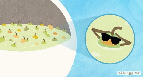 Rượu Vang Cam Là Gì? Tất Cả Những Gì Bạn Cần Biết