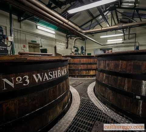 Cách Làm Whisky: Hành Trình Từ Hạt Lúa Đến Ly Rượu Thơm Ngon