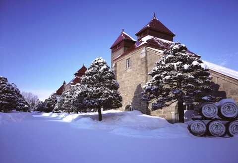 Tin tức chấn động giới mộ điệu Rượu whisky Nhật Bản