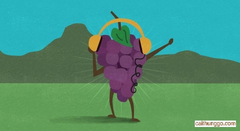 Âm nhạc có làm rượu vang ngon hơn không?